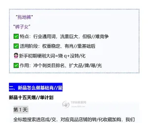 电商新手必懂：全标题半标题精准长尾词定义与用法