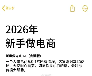 2026新手如何做电商