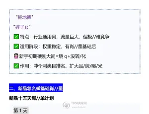 电商新手必懂：全标题半标题精准长尾词定义与用法