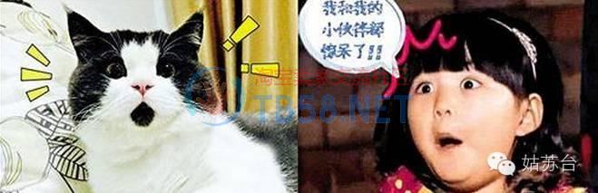 u=489764005,1151417788&amp;fm=23&amp;gp=0.jpg