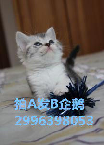 u=1766049479,2045318436&amp;fm=23&amp;gp=0_.jpg