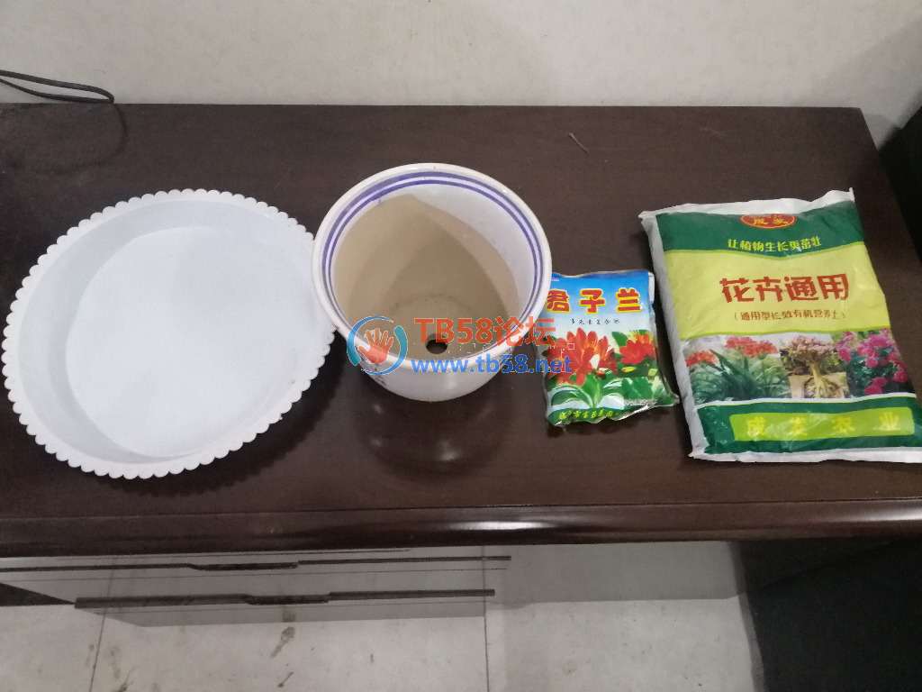 IMG_20181015_160354.jpg