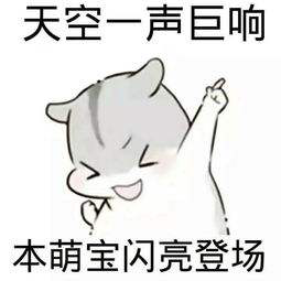 ͼƬ2.png