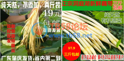 4.png