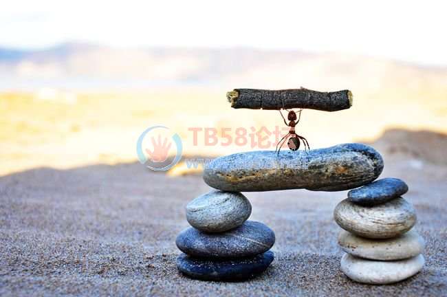 src=http-//nimg.ws.126.net/-url=http://dingyue.ws.126.net/2021/0924/397db13bj00q.jpg