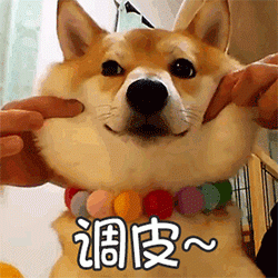 v2-4a1df0cf6887f4de8f372c91094d6b9e_720w.png
