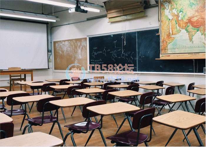 6541.jpg