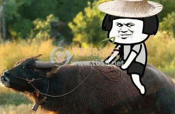 v2-757b3f58ab166d97eb6b5e613c672da2_720w.png