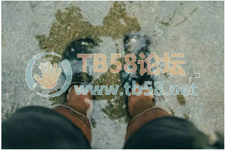 6fa0bc7ef611ca263b239507f522acf.png