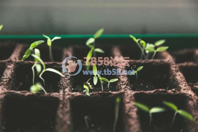 640?wx_fmt=jpeg&from=appmsg