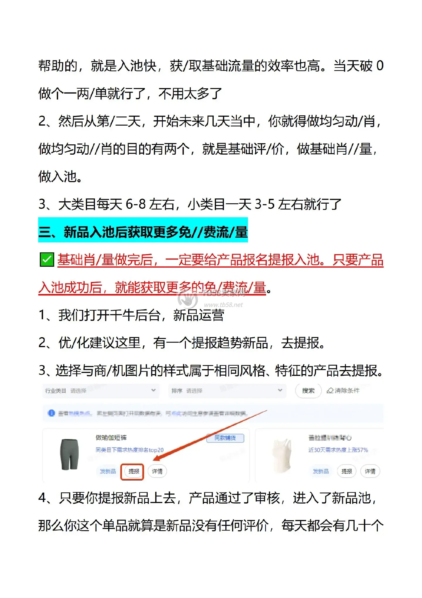 5.webp